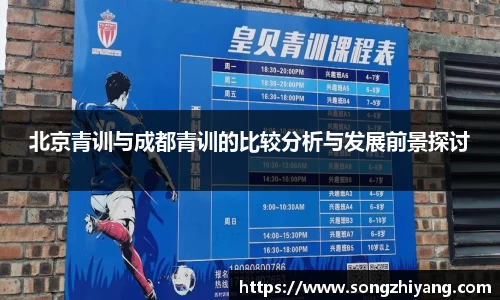 北京青训与成都青训的比较分析与发展前景探讨